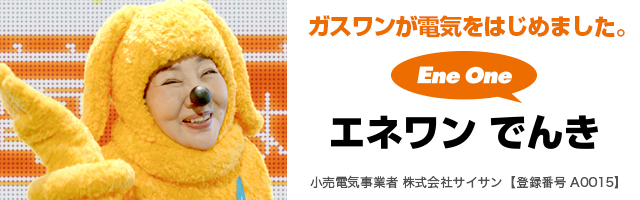 エネワン電気シュミレーション